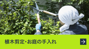 植木剪定・お庭のお手入れ