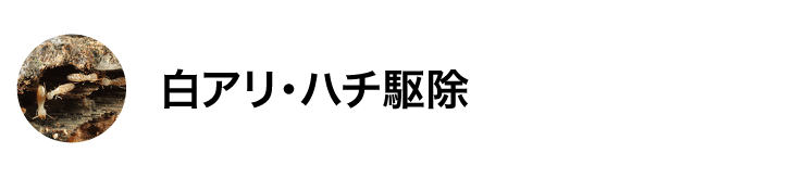 白アリ・ハチ駆除